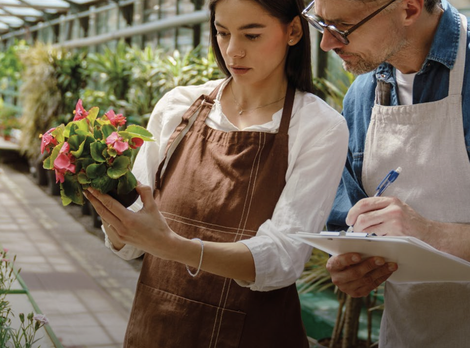 Captura de pantalla 2025 01 27 a las 16.34.05